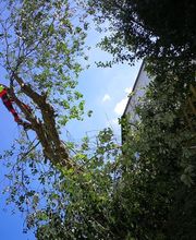 Garten- und Landschaftsbau Ersin Buran Bild 2