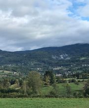 B Bois Forêts image 15