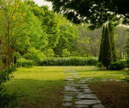 Die Gartenmalerin - Andrea Meitinger Bild 2
