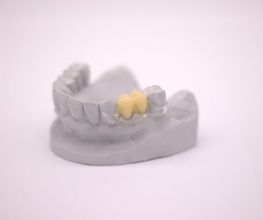 225604024-1-a0H2ORpGsh1772048107552.jpeg