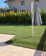 Kummer Gartenbau - Pflanzenoase Bild 10