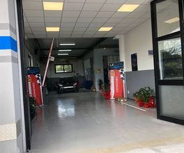 Gallery Cliente