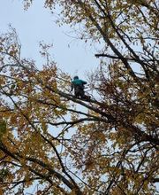 DFP Paysage image 10