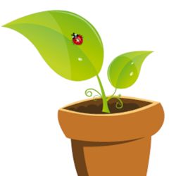 Pépinière de Saint Lavan