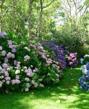 Bernet Gartenbau AG Bild 1