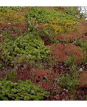 Brickmann Bedachungen GmbH Bild 6