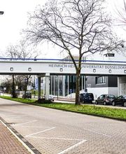 Weiss GmbH Malerwerkstätten Düsseldorf