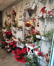 Atelier Nature image 2