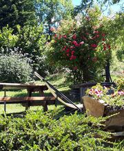 Claire Jardins image 3