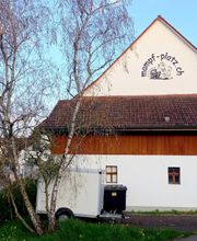 Restaurant Frohsinn Bild 3