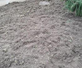Presta Jardins image 2