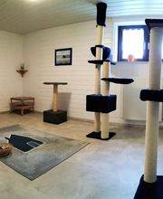 Pfötchen-Date Bild 3