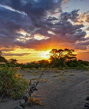 Go'n joy Africa Bild 3