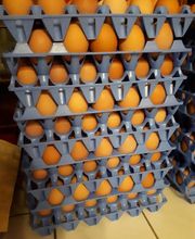 La Ferme du Morillon LFDM image 1