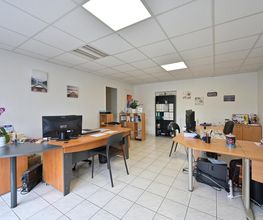 ART NET image 18