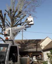 Artisan Elagueur David image 12