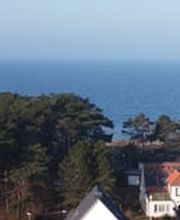 Super Hundeurlaub Bild 7