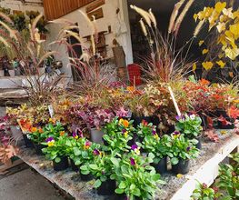 Garten Zeißlhof Bild 4