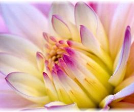 Wellnesspoint Bild 5