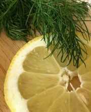 Harry Fichtner Fotostudio Bild 14