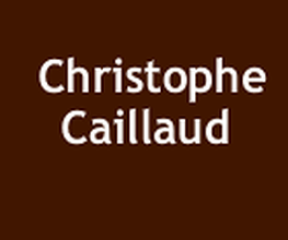 Caillaud Christophe image 4