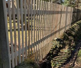 Garten- Landschaftsgestaltung Scheinert Bild 3