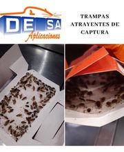 desa12.jpg