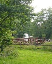 Haasehof Bild 18