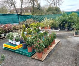GAMM VERT image 4