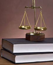 Praud Elodie image 1