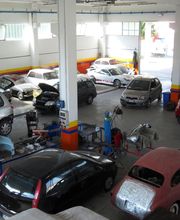 Gallery Cliente