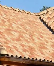 Mayer David image 13