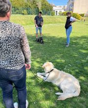 Dog & Picture image 2