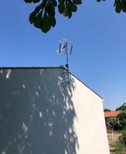 MORELET TONY image 14