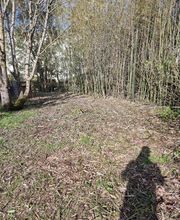 Bouche Nicolas image 13