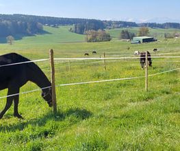 Ranch du p'tit bonheur Bild 1
