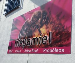 11337813-1-fMJ1ogaCYZ1573465775413.jpeg