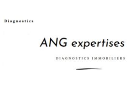 ANG Expertises image 2