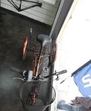 GOFIS BICI imagen 12