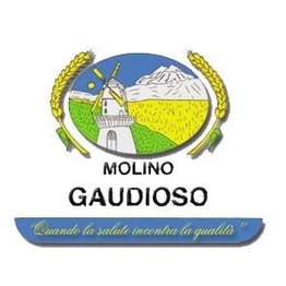 Molino Gaudioso logo