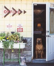 Classic Auto Collision Center image 11