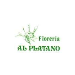 Fioreria al Platano logo