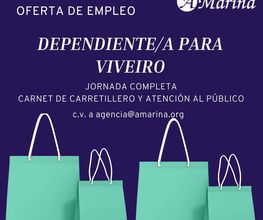 Academia A Mariña imagen 4