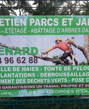 Renard Dianni image 13