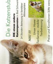Die Katzenstube, Katzenpension, Katzenhotel Mobiler Haustierservice in Bad Schwartau Bild 1