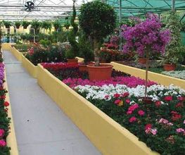 Fantastic Gardens imagen 19