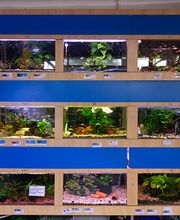 Zoofachmarkt Brändle Bild 2