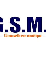 GUYANE SOLUTION MONETIQUE ET INFORMATIQUE GSMI image 8