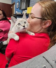 Westerville Veterinary Clinic image 13