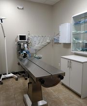 Veterinary Clinic of Pearland image 6